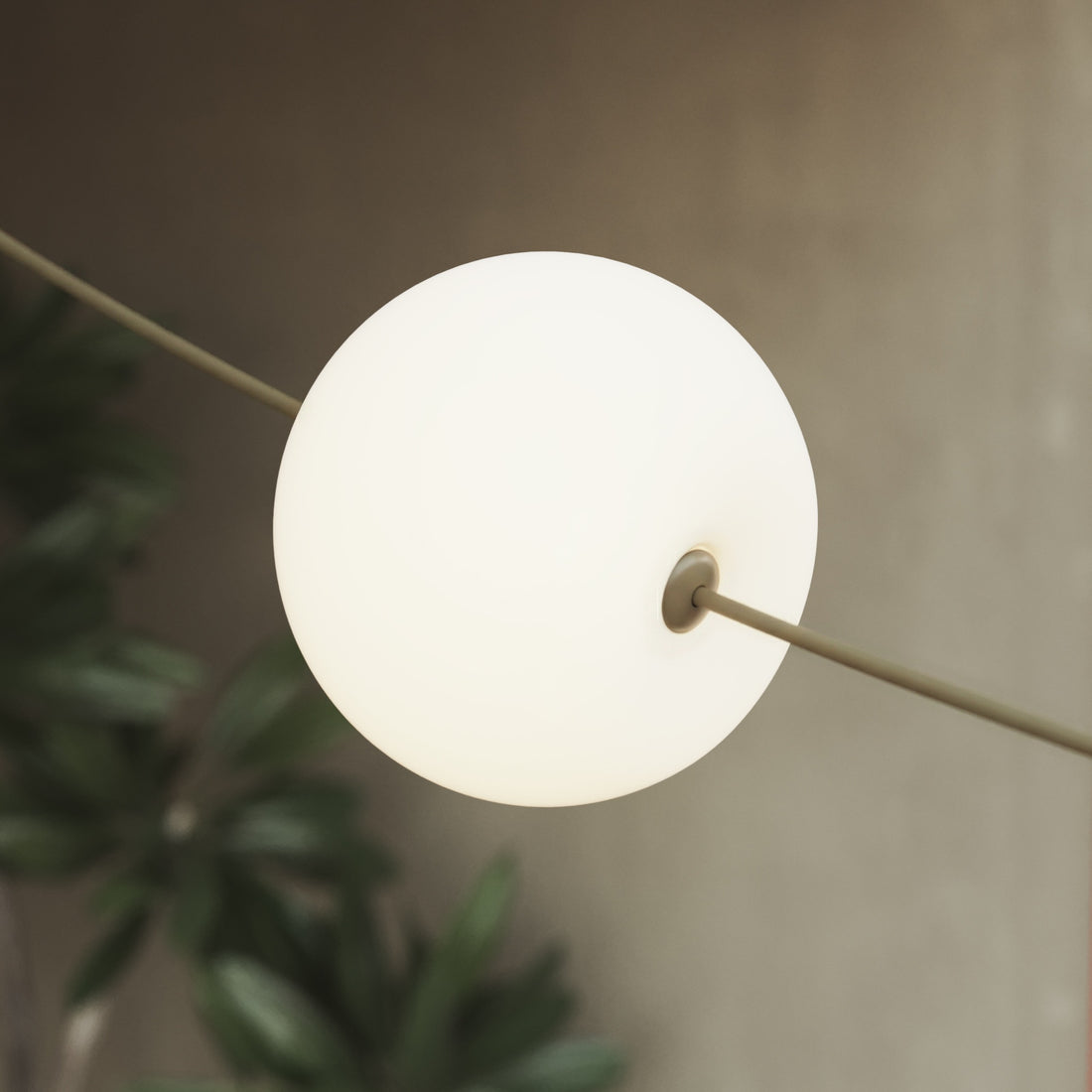 <strong>Cherry</strong>