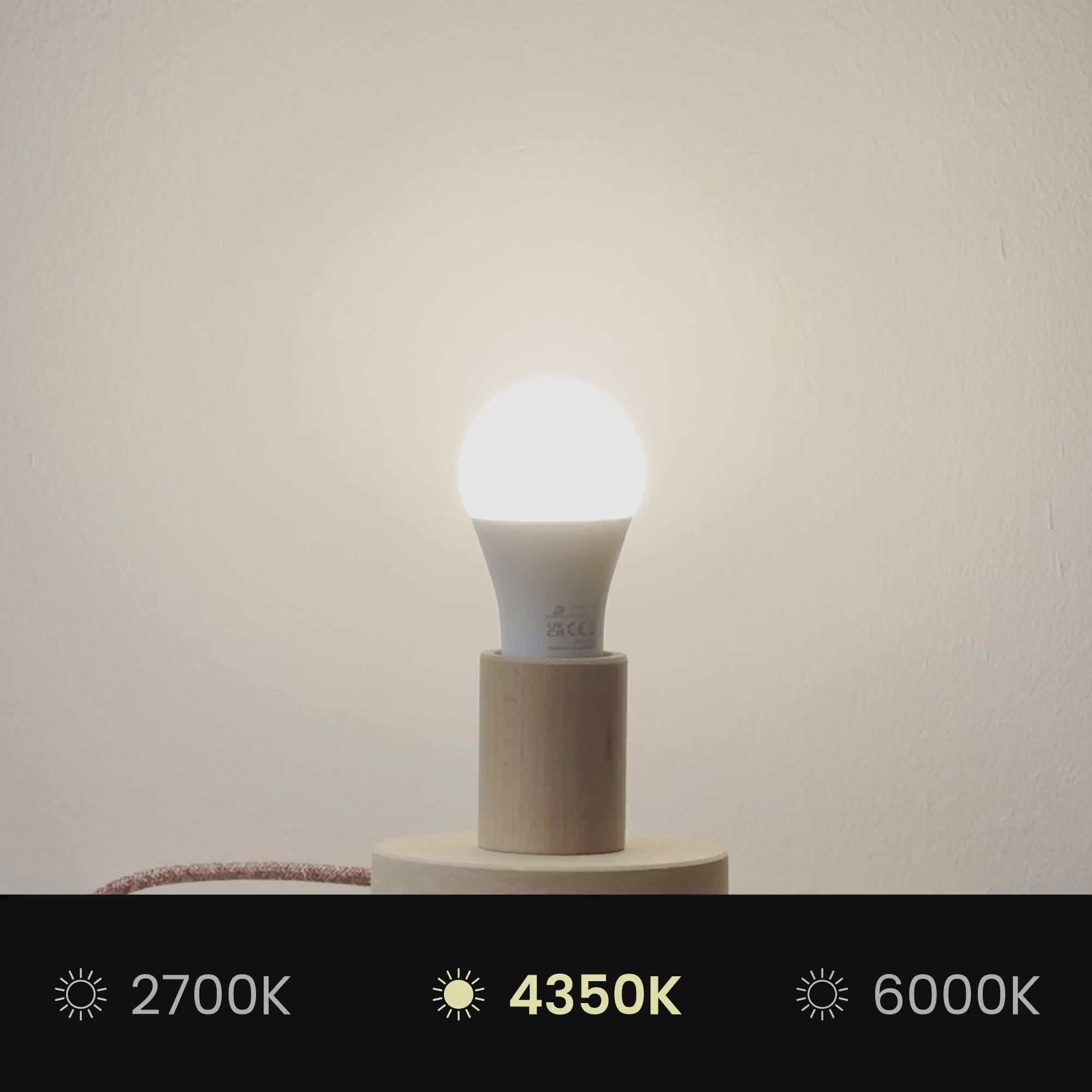 Φόρτωση βίντεο: Απλίκα Ventola με Αμπαζούρ από ύφασμα Teletta σε λιλά χρώμα - Κατασκευασμένο στην Ιταλία